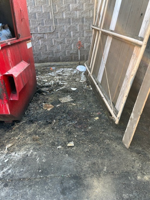 Dumpster Pad Cleaning in Charlotte, NC Thumbnail